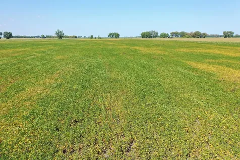 Tbd County 8 Campbell MN 56522