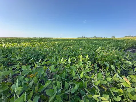 Tbd County 8 Campbell MN 56522