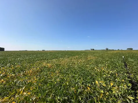 Tbd County 8 Campbell MN 56522