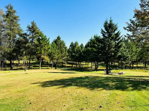 12435 340th Street Menahga MN 56464
