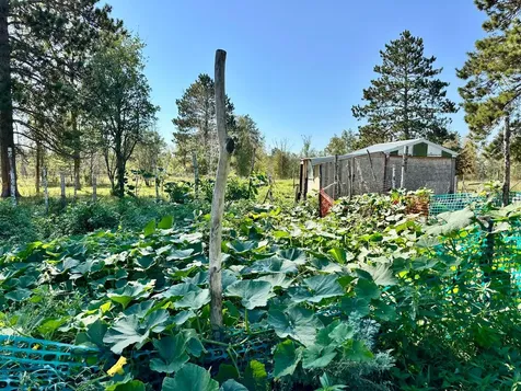 12435 340th Street Menahga MN 56464