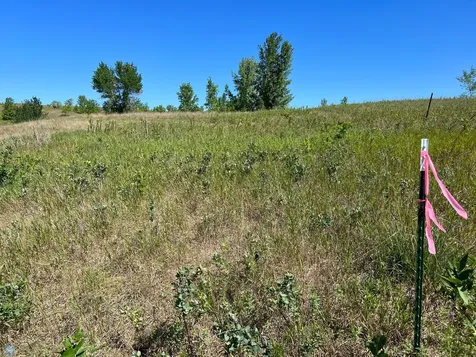 26147 154 Avenue S Barnesville MN 56514