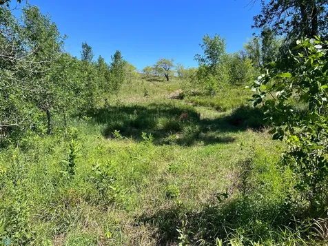 26147 154 Avenue S Barnesville MN 56514
