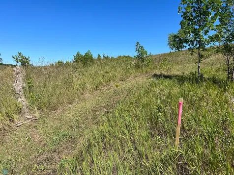 26085 154 Avenue S Barnesville MN 56514