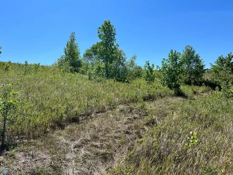 26085 154 Avenue S Barnesville MN 56514
