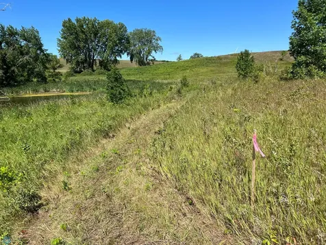 26029 154 Avenue S Barnesville MN 56514