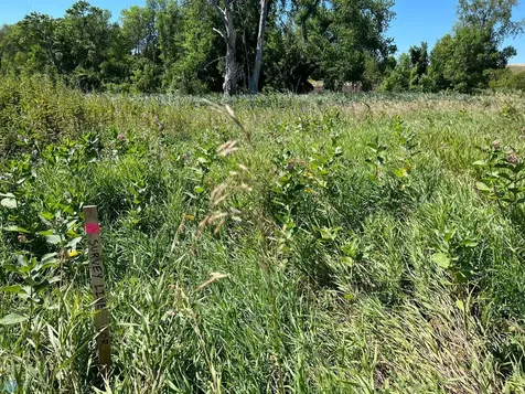 26029 154 Avenue S Barnesville MN 56514