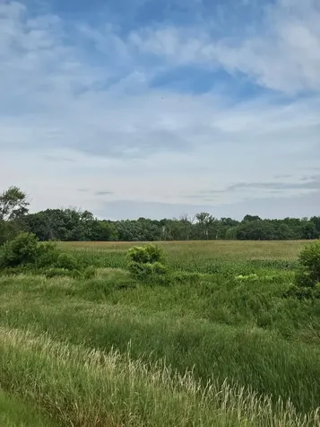 Tbd Lake Boulevard Shafer MN 55074