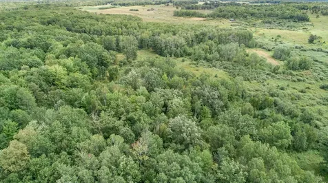 Tbd 310th Avenue Brook Park MN 55007