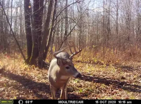 Tbd 310th Avenue Brook Park MN 55007