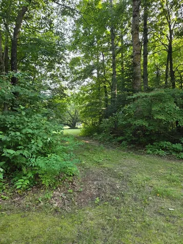 10587 Town Road 34 Mizpah MN 56660