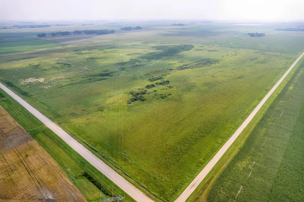 Tbd 250th Street Rothsay MN 56579