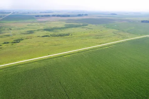 Tbd 250th Street Rothsay MN 56579