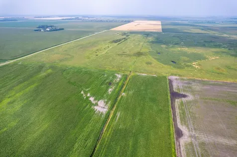 Tbd 250th Street Rothsay MN 56579