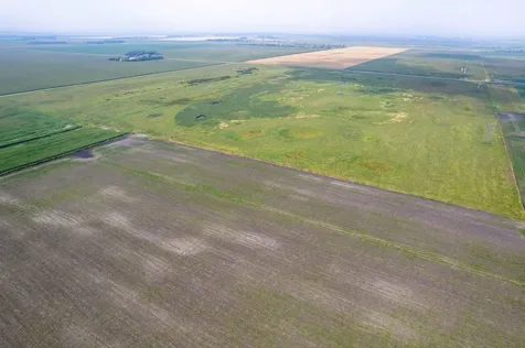 Tbd 250th Street Rothsay MN 56579