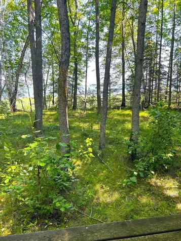 16779 Angle Shoreline Angle Inlet MN 56711