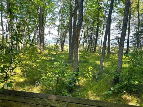 16779 Angle Shoreline Angle Inlet MN 56711