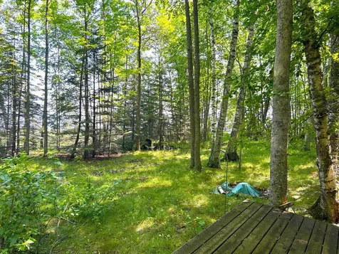 16779 Angle Shoreline Angle Inlet MN 56711