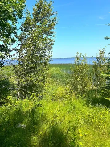 16779 Angle Shoreline Angle Inlet MN 56711
