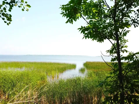 16779 Angle Shoreline Angle Inlet MN 56711