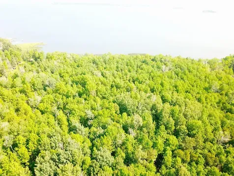 16779 Angle Shoreline Angle Inlet MN 56711