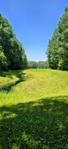 2965 Bankton Road SW Baudette MN 56623
