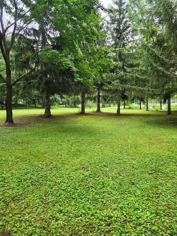 Null 1st Ave NW Pine City MN 55063