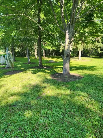 Null 1st Ave NW Pine City MN 55063