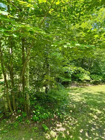2594 County Road 8 Barnum MN 55707