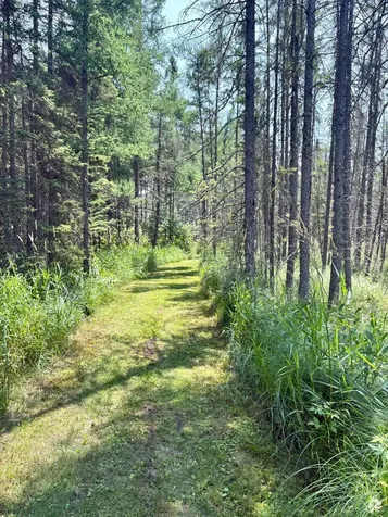 2594 County Road 8 Barnum MN 55707