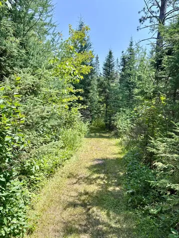 2594 County Road 8 Barnum MN 55707