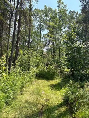 2594 County Road 8 Barnum MN 55707