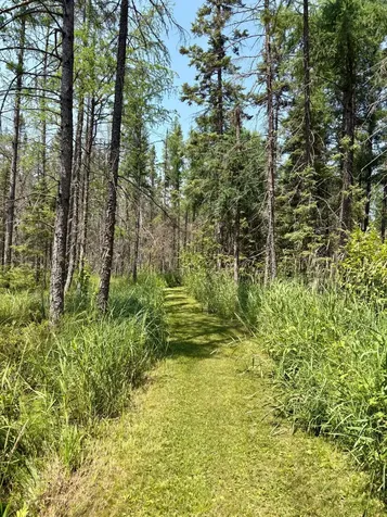 2594 County Road 8 Barnum MN 55707