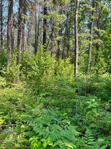 2594 County Road 8 Barnum MN 55707