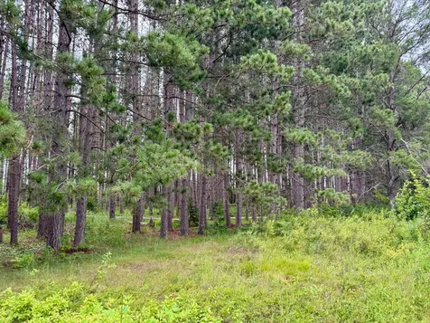 Tbd 20th St. SW 20 St. SW Pine River MN 56474