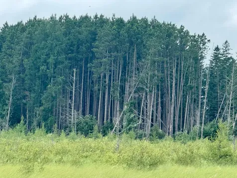 Tbd 20th St. SW 20 St. SW Pine River MN 56474