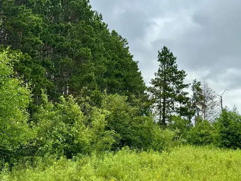 Tbd 20th St. SW 20 St. SW Pine River MN 56474