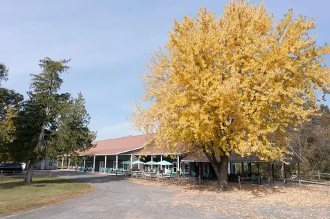 1721 Us Highway 8 Saint Croix Falls WI 54024