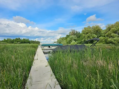 24 Branch Creek Road Detroit Lakes MN 56501
