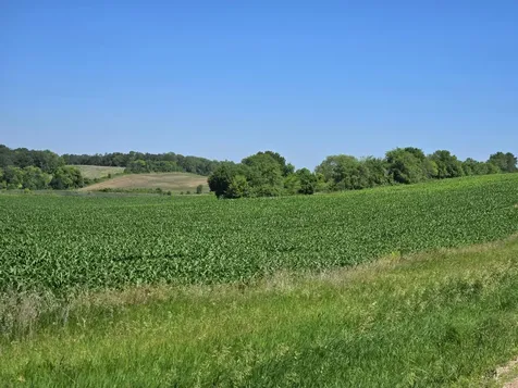 Tbd County Highway 83 Battle Lake MN 56515