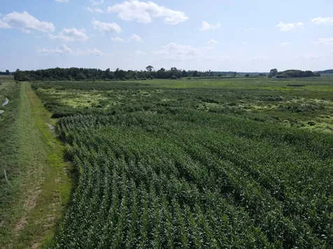Tbd 630th Street Claremont MN 55924