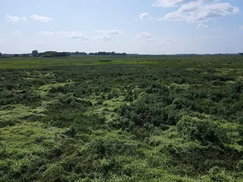Tbd 630th Street Claremont MN 55924