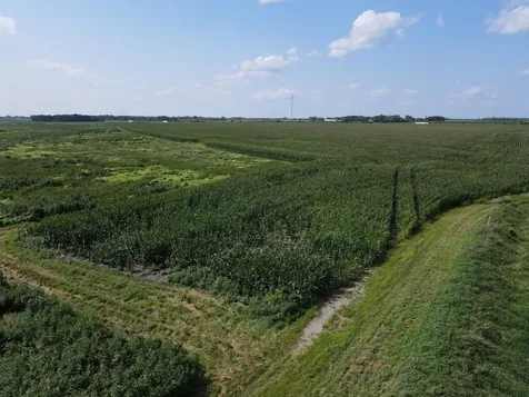 Tbd 630th Street Claremont MN 55924