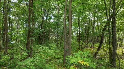 W9346 Woodlawn Drive Holcombe WI 54745