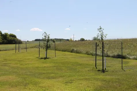 42955 165th Street Clitherall MN 56524
