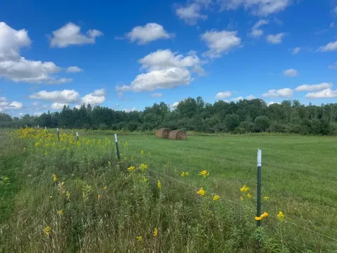 24007 Kestrel Avenue Mcgrath MN 56350