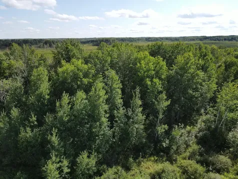 24007 Kestrel Avenue Mcgrath MN 56350