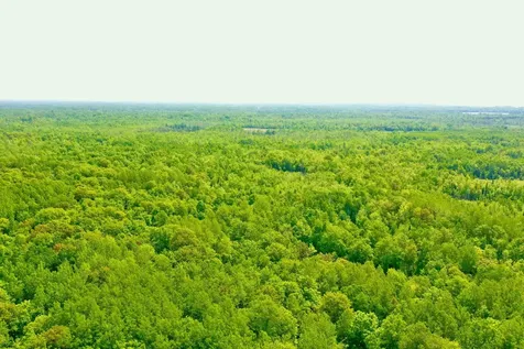 44384 Grace Lake Road Hinckley MN 55037