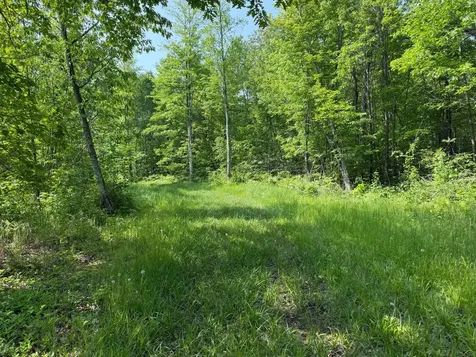 44384 Grace Lake Road Hinckley MN 55037