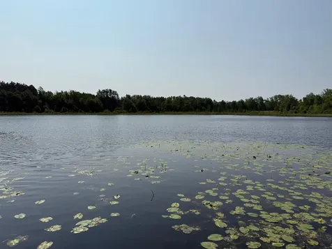 44384 Grace Lake Road Hinckley MN 55037